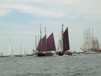 Hanse sail 2010.SANY3849
